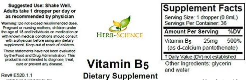 Liquid Vitamin B5 – 36 Servings – High Absorption Pantothenic Acid for Energy, Mood & Nerve Support – Vegan Non-GMO Alcohol Free – Better Than Capsules or Pills – 1 Fl Oz