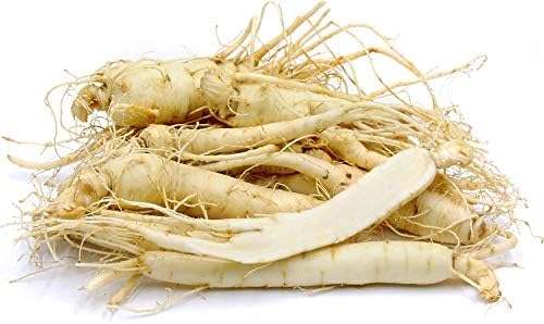 Dairyland Fresh American Ginseng Roots, 4 oz Fresh Wisconsin Ginseng, Direct from The Farmer to The Consumer, Premium Quality Ginseng