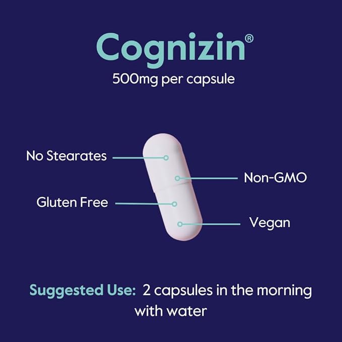 BESTVITE Cognizin Citicoline 500mg (240 Vegetarian Capsules) (Value Size) - Clinically Studied Premium Choline Nootropic - No Stearates - Vegan - Gluten Free - Brain Supplements for Memory and Focus