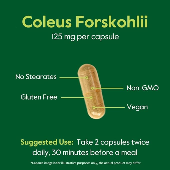 BESTVITE Coleus Forskohlii 125 mg - 20% Forskolin (120 Vegetarian Capsules) - Made with Forslean The only Forskolin Ingredient Backed by Clinical Studies.
