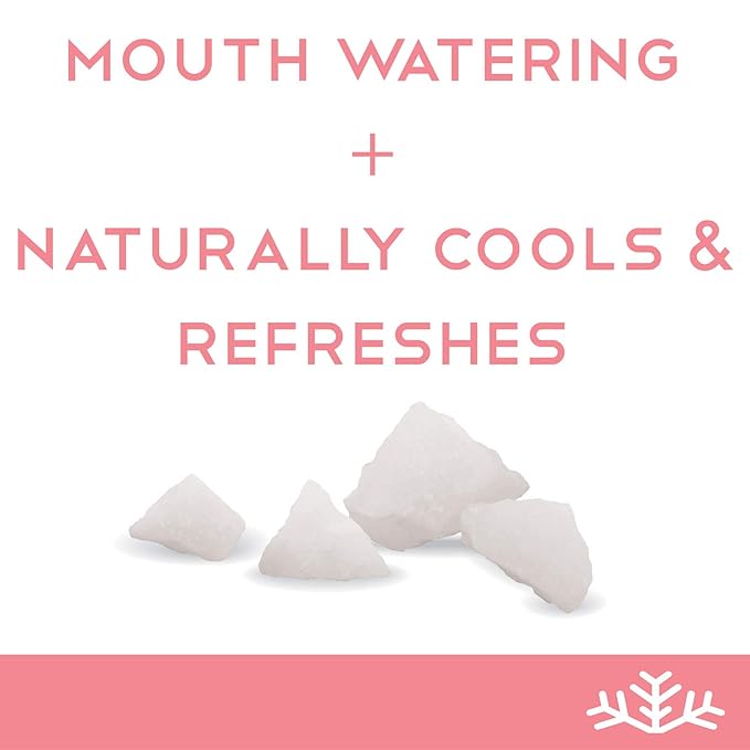 Watermelon KETO Xylitol Candy Chips - SNØ 1LB Bag - Sugar-Free Candy With Only 2 Ingredients | Low Carbs, Diabetic-Friendly, Non-GMO, Vegan, GF & Kosher | Purest candy in the world!