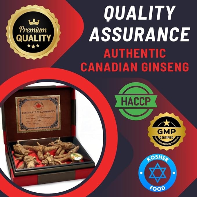 Canadian Ginseng Roots 8 oz - 5 Year Large Jumbo Size - Make Ginseng Soup - Energy | Focus | Immunity