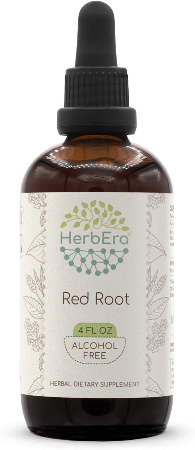 Red Root B120 Alcohol-Free Herbal Extract Tincture, Super-Concentrated (New Jersey Tea, Ceanothus Americanus) 4 fl oz