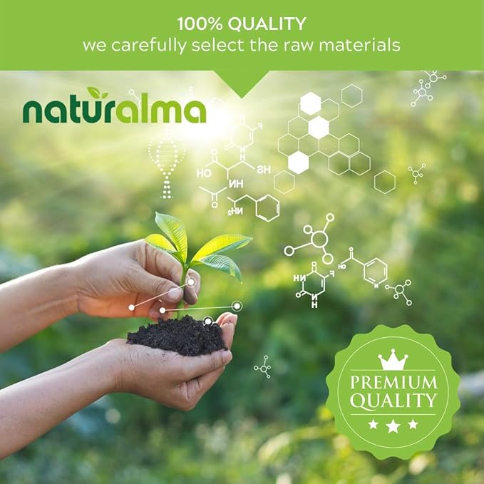 Naturalma Schisandra (Schisandra chinensis) Fruit Alcohol-Free Tincture - 4 fl oz Liquid Extract in Drops - Herbal Supplement - Vegan