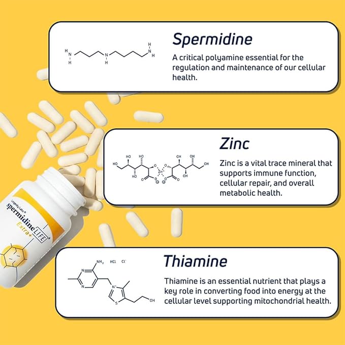 LONGEVITY LABS + spermidineLIFE Natural Supplement, Non-Synthetic Plant-Based Wheat Germ Extract with High Spermidine & Zinc for Cell Renewal, Vegan, for Women & Men, 60 Capsules