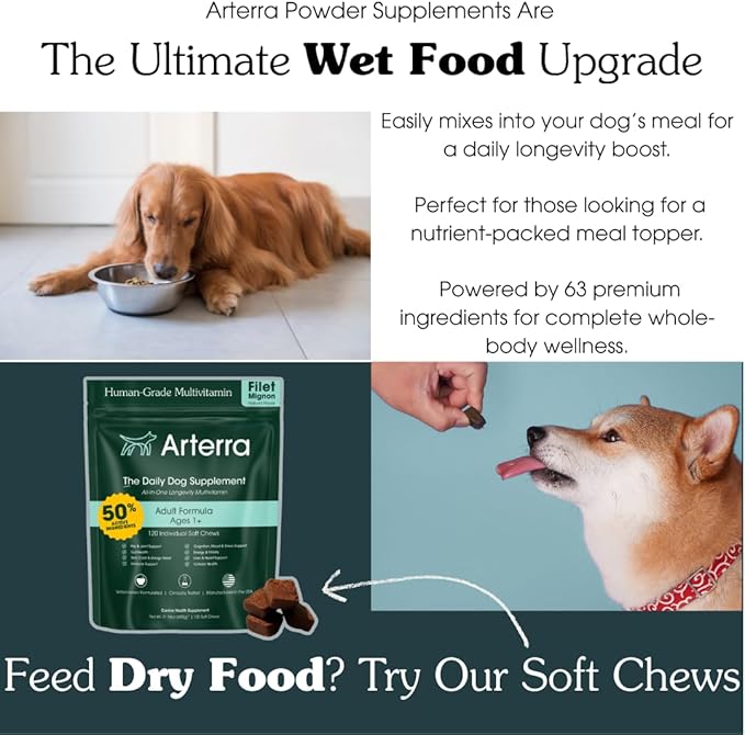 Adult Dog Powder Supplement & Food Topper – 46 Ingredients for Gut, Immune & Brain Health – Daily Longevity Multivitamin for Whole Body Wellness | 120 Scoops