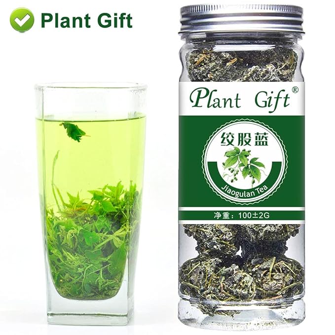 PlantGift Gynostemma Tea/Jiaogulan Tea 100G/3.52oz 绞股蓝茶 Jiaogulan Loose Leaf Tea, Premium Gynostemma Pentaphyllum Herbs, 100% Natural