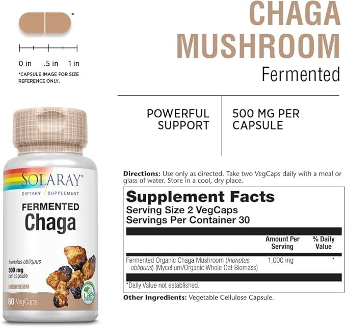 SOLARAY Fermented Chaga Mushroom 1000 mg | Healthy Immune Function Support | 30 Servings | 60 VegCaps