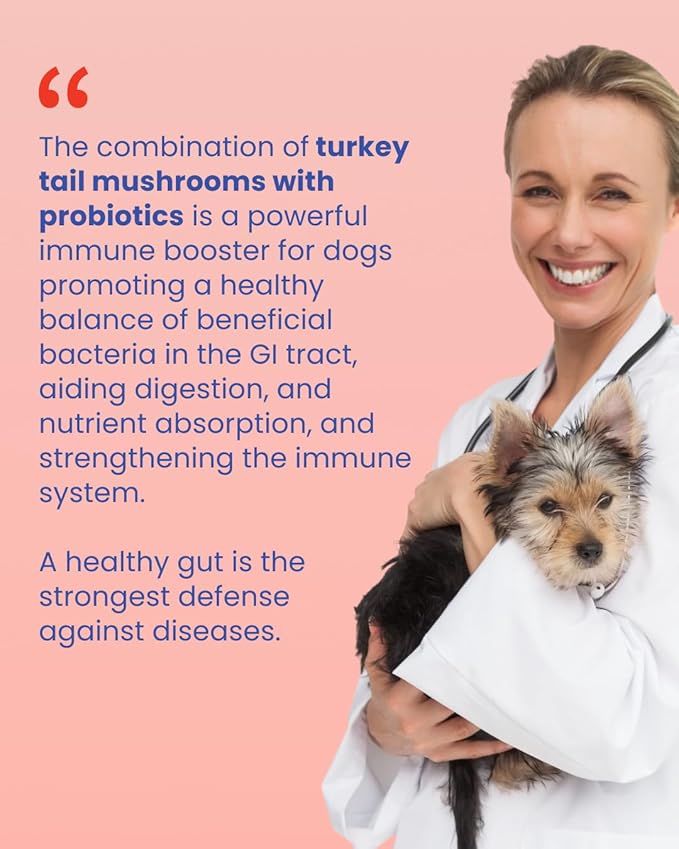 Fifth & Fido Turkey Tail Mushroom Powder for Dogs – Natural Probiotic Supplement – Dog Digestive Health & Immune Support – Peanut Butter Flavor
