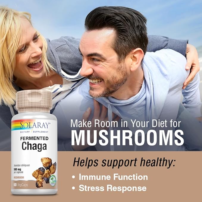 SOLARAY Fermented Chaga Mushroom 1000 mg | Healthy Immune Function Support | 30 Servings | 60 VegCaps