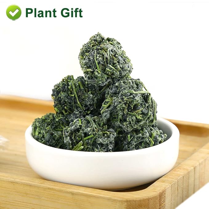 PlantGift Gynostemma Tea/Jiaogulan Tea 100G/3.52oz 绞股蓝茶 Jiaogulan Loose Leaf Tea, Premium Gynostemma Pentaphyllum Herbs, 100% Natural