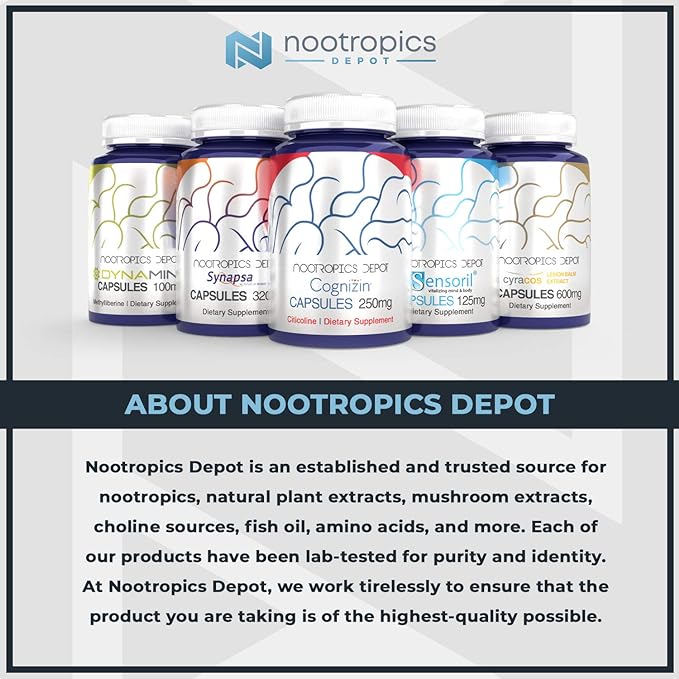 Nootropics Depot Rhodiola Rosea Capsules | 500mg | 3% Rosavins | 120 Count | Adaptogen Herb | Ayurvedic Supplement