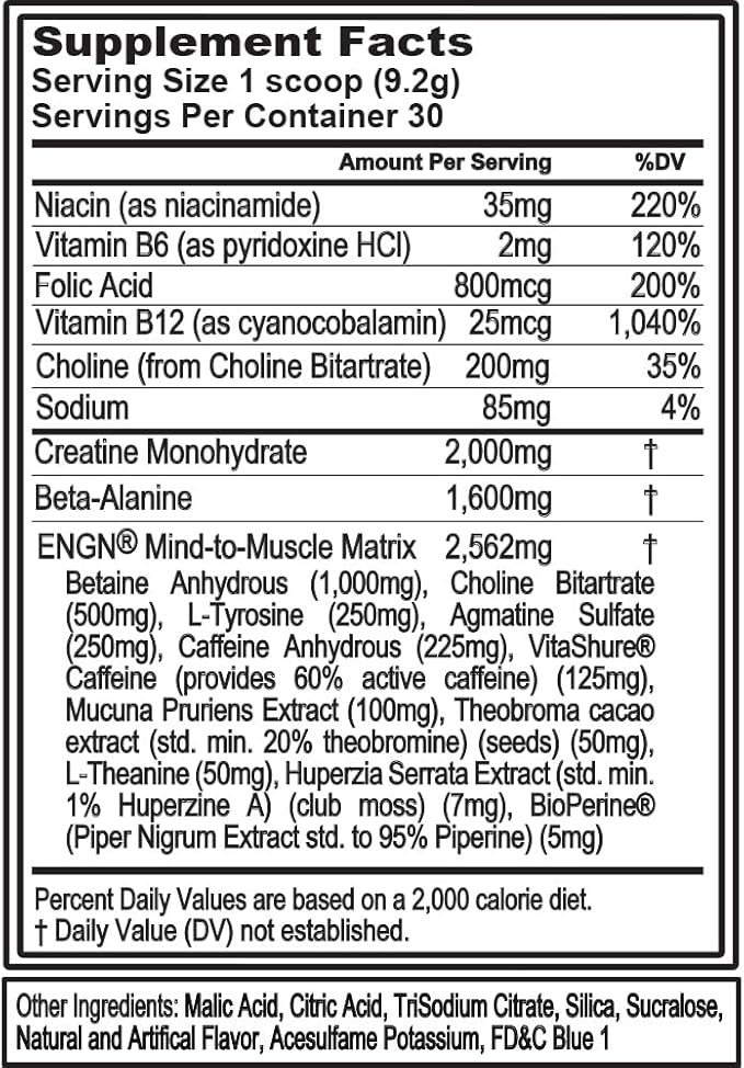 EVL Intense Pre Workout with Creatine - ENGN Energizing Pre Workout for Men Powder Drink for Lasting Energy Focus and Recovery - with Beta Alanine Caffeine and L Theanine - Rocket Pop