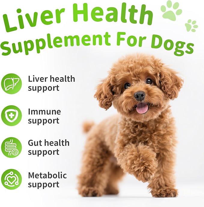Dog Liver Support Chews - with Milk Thistle (Silybum), Same & NAC - Liver Supplement for Metabolic - Detox - Gut & Immune Health - Chicken Flavor, 90 Soft Chews
