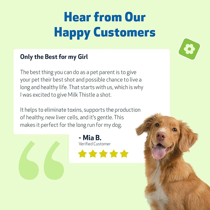 Pet Wellbeing Milk Thistle for Dogs - Organic, Supports Liver Health, Healthy Detoxification, Antioxidants, Liver Cell Support, Silymarins - Veterinarian-Formulated Herbal Supplement 4 oz (118 ml)