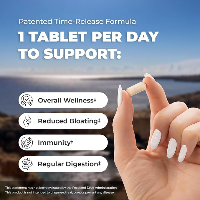 Balance ONE Probiotic for Women & Men – Time-Release Tablets for 15x Survivability – 12-Strain Formula with L. Plantarum & L. Acidophilus – Gut & Digestive Health Support – 60 Tablets (30-Day Supply)