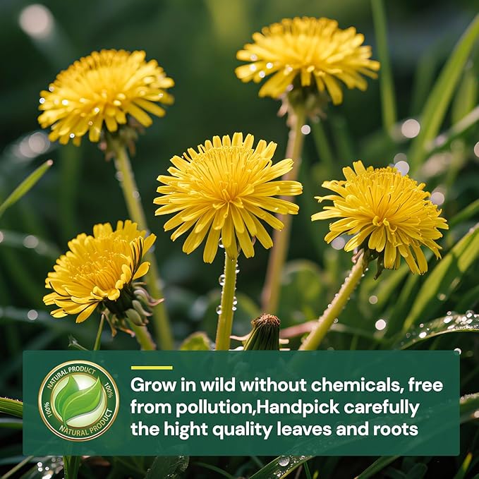 Dandelion Leaf and Root Tea Bag, Natural Dandelion Roasted Herbal Detox Teabag for Liver & Kidney Health, Support Digestion Dandelion Root Tea, Caffeine Free, No Additives(100 Teabags)