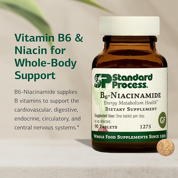 Standard Process B6-Niacinamide - Energy Metabolism, Heart Health, and Digestion Supplement with Vitamin B6, Niacin, Ascorbic Acid, Reishi Mushroom, Shiitake Mushroom, and More - 90 Tablets