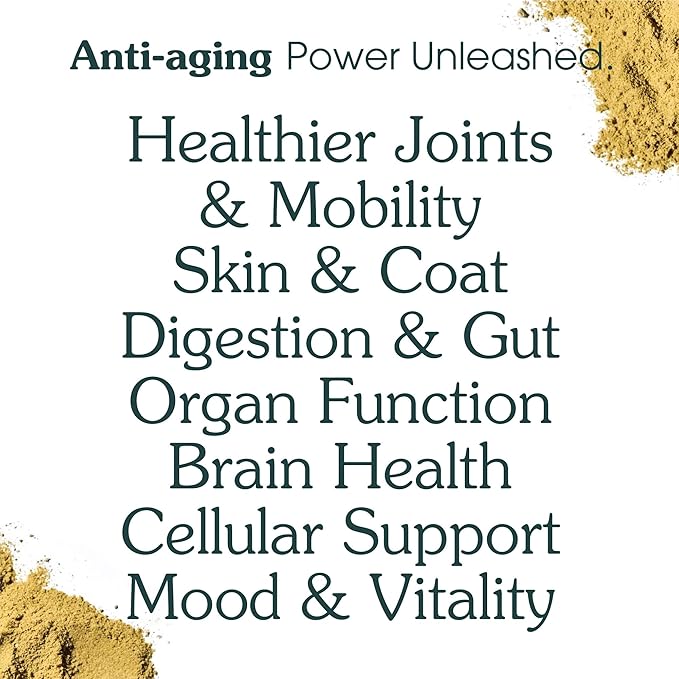 Adult Dog Powder Supplement & Food Topper – 46 Ingredients for Gut, Immune & Brain Health – Daily Longevity Multivitamin for Whole Body Wellness | 30 Scoops