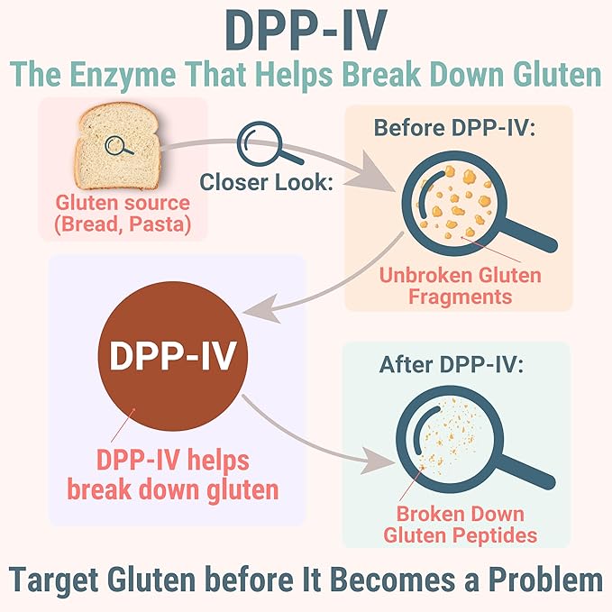 Gluten & Lactase Digestive Enzyme Gummies – Lactase Pancreatic Enzymes with DPP‑IV Lipase Gluco‑Amylase Lactase, Drops Chewables Capsules Pills Powder Supplement Alt, Pancreatic Support, for Kids