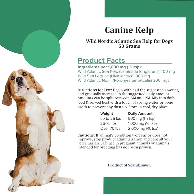 Canine Atlantic Sea Kelp for Dogs | All Natural Dog Food Topper for Digestive Health, Skin and Coat Health, and Immune Support | Rich in Vitamins, Minerals, and Calcium for Dogs (50g)