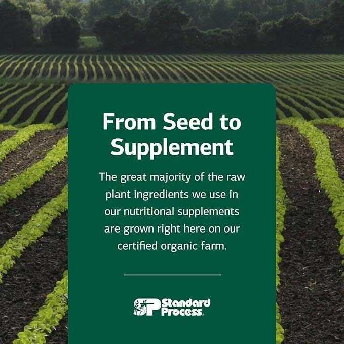 Standard Process Inc. E-Z Mg - Plant-Based, Multiform, Organic, Supports Patients with Inadequate Dietary Magnesium Intake - 180 Tablets