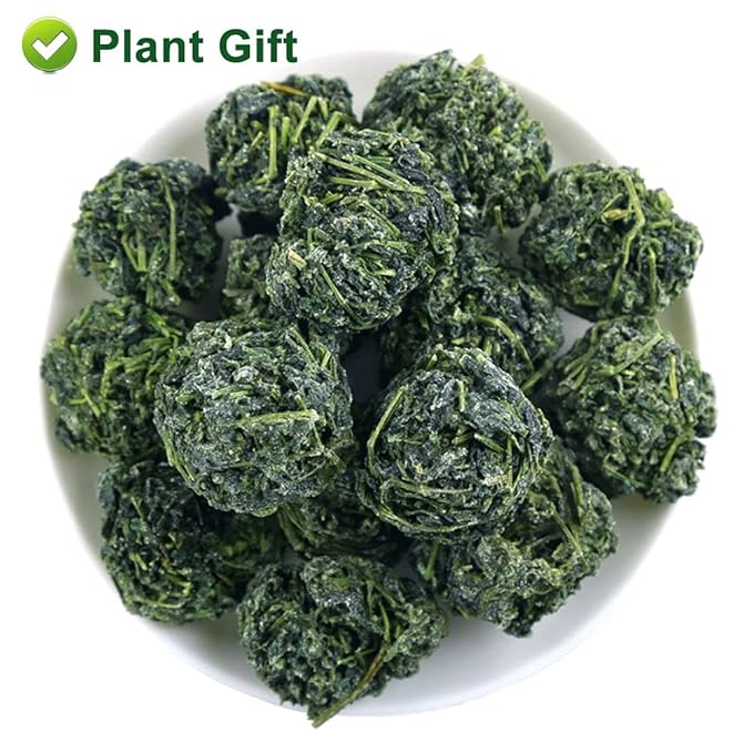 PlantGift Gynostemma Tea/Jiaogulan Tea 100G/3.52oz 绞股蓝茶 Jiaogulan Loose Leaf Tea, Premium Gynostemma Pentaphyllum Herbs, 100% Natural
