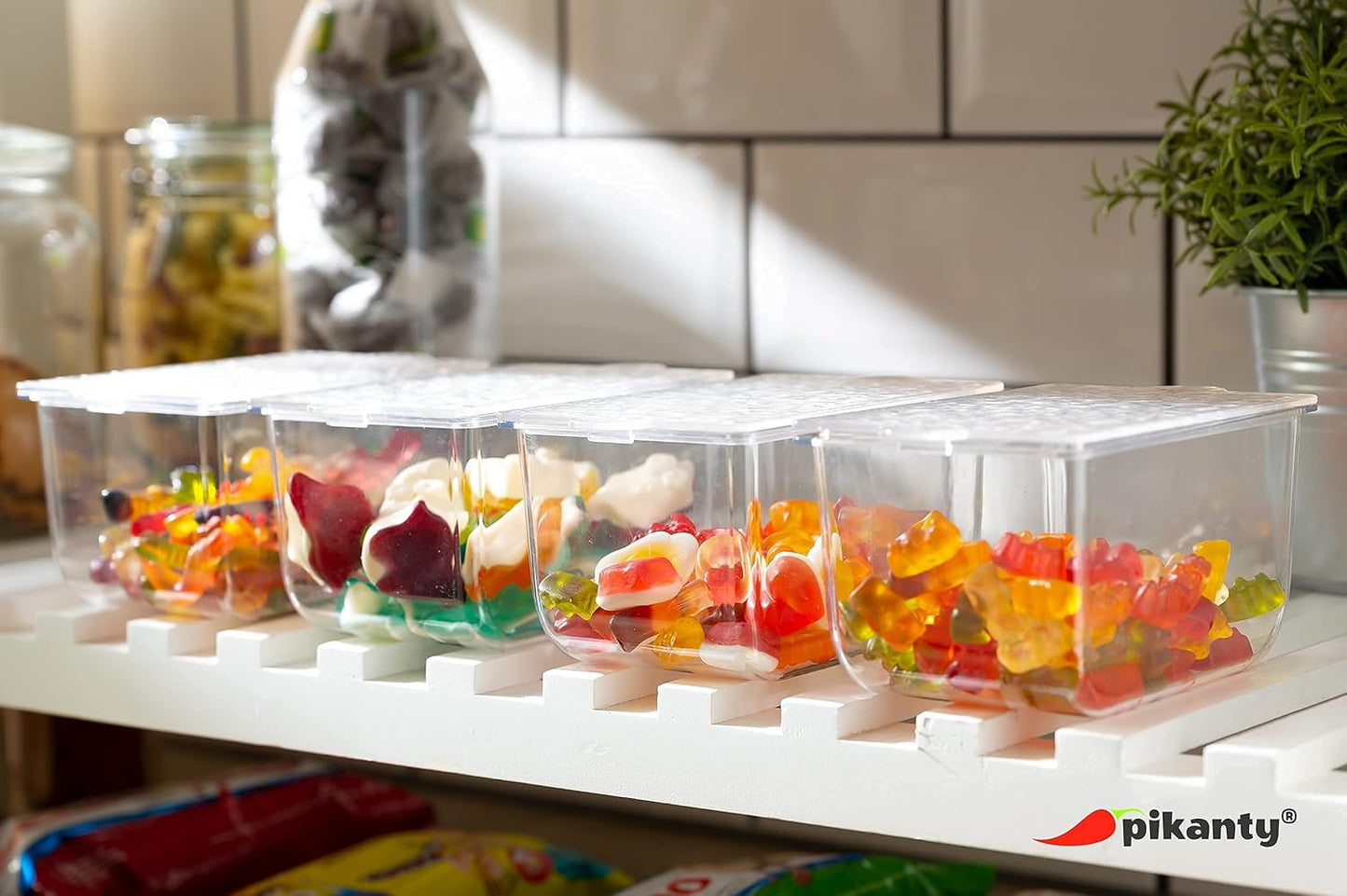 Pikanty - Condiment Server with 4 Removable Containers and Lids - Ideal for Parties, BBQs, and Picnics, Dishwasher Safe, and Made in the USA