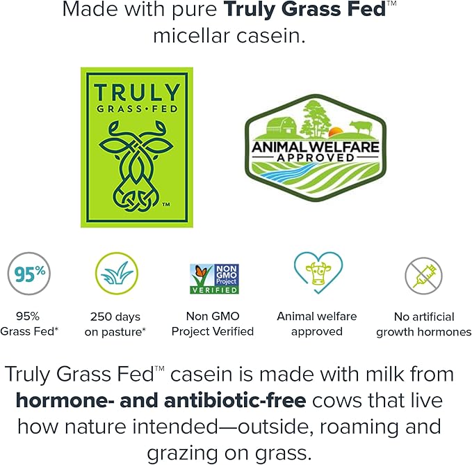 LEGION Casein Protein Powder (Strawberry) - Slow-Release Micellar Protein Powder - Non-GMO, Gluten-Free & Naturally Sweetened Casein Powder from Grass-Fed Cows