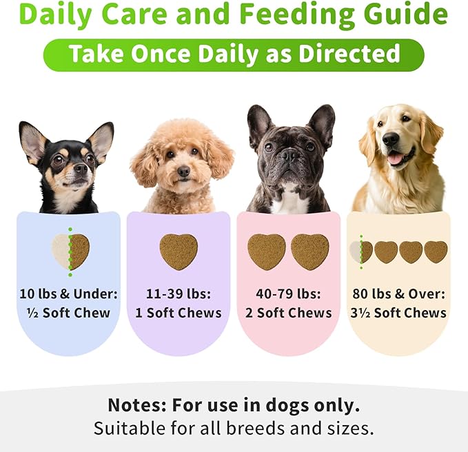 Dog Liver Support Chews - with Milk Thistle (Silybum), Same & NAC - Liver Supplement for Metabolic - Detox - Gut & Immune Health - Chicken Flavor, 90 Soft Chews