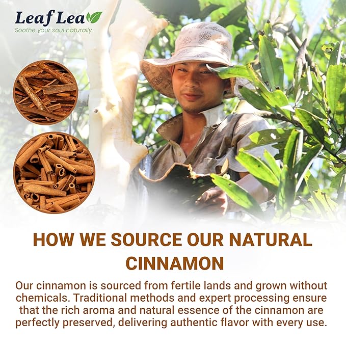 LeafLea Cinnamon Tea Bags, 80 Count (2-Pack), 100% Natural Ground Cinnamon Stick Herbal Tea, Spiced and Warming Flavor for Relaxation, Caffeine-Free, Sugar-Free, Vegan