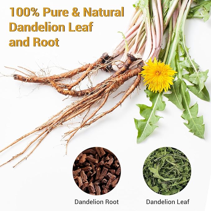 Dandelion Leaf and Root Tea, Natural Dandelion Tea for Liver & Kidney Health, Roasted Detox Herbal Cleanse Teabags for Men Women, Support Boost Immune System, Caffeine Free (1 Pack/50 Bags)