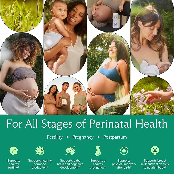 Needed. Vanilla Multivitamin Powder with Choline for Prenatal, Pregnancy, Breastfeeding, Postpartum | Expertly-Formulated & Third-Party Tested | 30-Day Supply