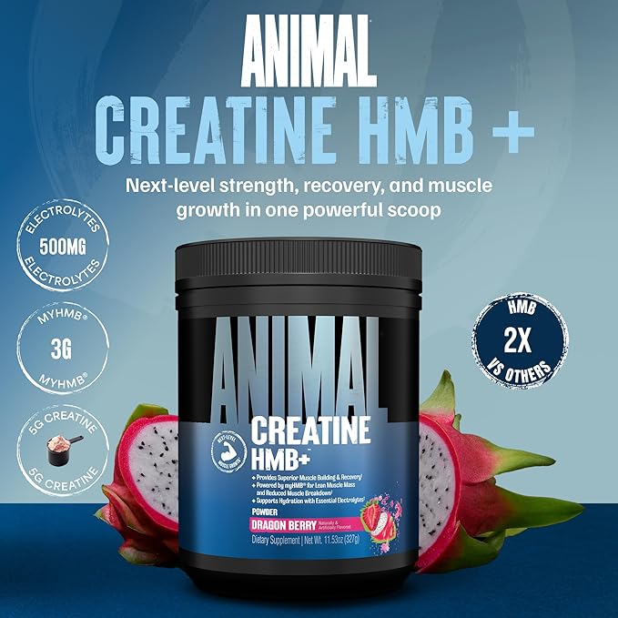 Animal Creatine HMB Powder – 5g Creatine + 3g myHMB with Electrolytes for Lean Muscle, Recovery & Daily Energy – Dragon Berry Flavor, 30 Servings