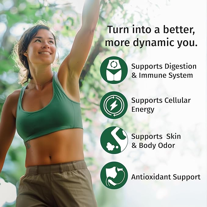 (4 Pack) 4-in-1 Vegan Chlorophyll Liquid Drops 7000mg for Immune Support, Energy, Gut and Skin Health - Liquid Chlorophyll - Internal Deodorant Enriched with Chlorella, Spirulina, & Copper, 8 Fl Oz
