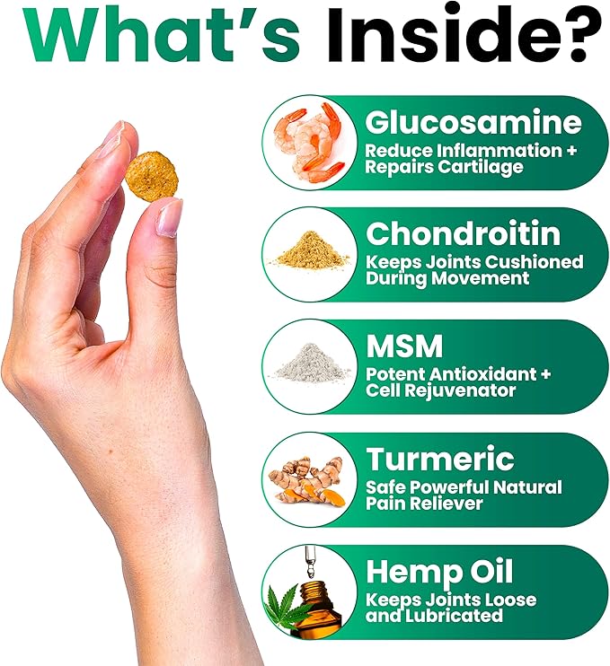 Hemp Hip and Joint Supplement for Dogs - Glucosamine for Dogs - 170 Joint Pain Relief Treats - Chondroitin, MSM, Hemp Oil - Advanced Health Supplement - Mobility Support Chews - Made in USA