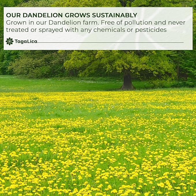 Tagalica, Premium 135 Dandelion Root Tea Bags, 100% Natural & Pure from Dandelion Root, Eco-Conscious Tea Bags, Herbal Tea. No Sugar, No Caffeine, No Gluten, Vegan