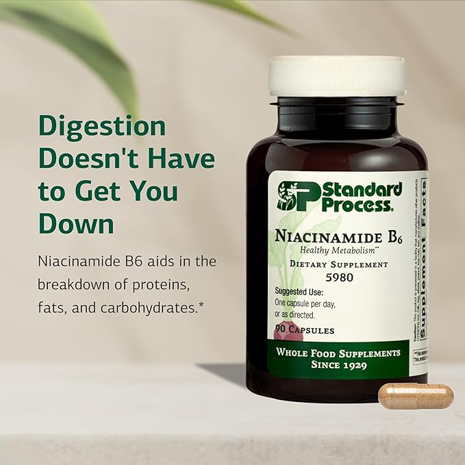 Standard Process Inc. Niacinamide B6 - Whole Food Energy, Metabolism and Nervous System Supplements with Soy Protein, Vitamin B6, Ascorbic Acid, Calcium Lactate, and Niacinamide - 90 Capsules