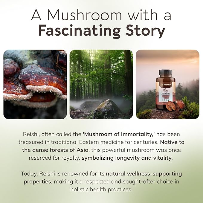 Longevity Botanicals Reishi Mushroom Extract Capsules (120) | Concentrated 10:1 Ratio | 100% Fruiting Bodies | Lingzhi (Ganoderma lucidum) Supplement for Immune, Stress & Sleep Support