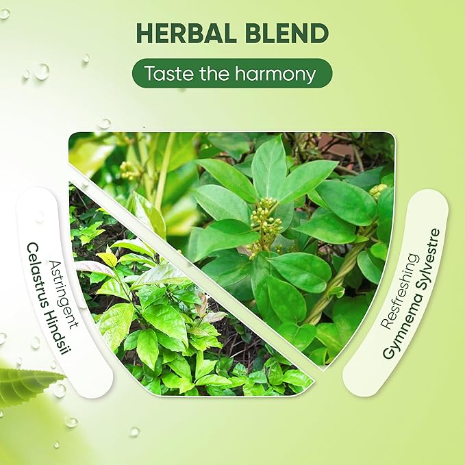 NMPT Dried Gymnema Sylvestre Leaf Tea, Celastrus Hindsii, 100% Hand Pick, Organic Herbal Tea, 40 Count, Freeze Drying, Gluten Free, Dairy Free, No Sugar Added, Energy Boost & Health Support