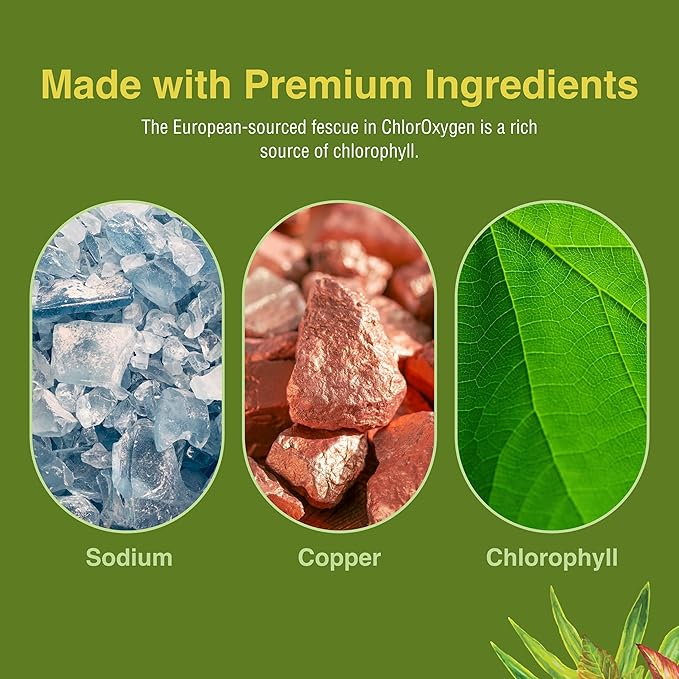 Herbs Etc. ChlorOxygen Chlorophyll Concentrate - Highly-Concentrated Energy Support - Aids Healthy Blood Circulation - Natural Vitality Support - Alcohol-Free - 2 fl oz (About 132 Servings)