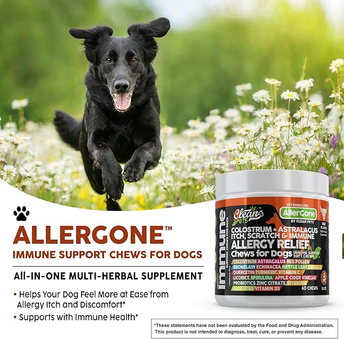 Dog Allergy Relief Chews | Itchy Skin Relief for Dogs | Colostrum Astralagus Omega 3 Bee Pollen Bromelain Echinacea Nettle Leaf Quercetin Licorice Root Spirulina ACV Immune - Pack of 1