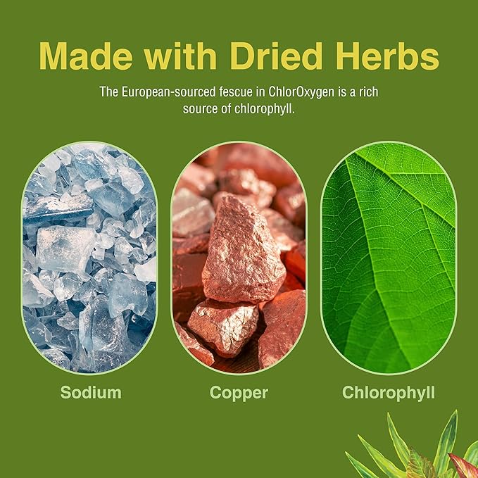 Herbs Etc. ChlorOxygen Chlorophyll Concentrate - Highly-Concentrated Energy Support - Aids Healthy Blood Circulation - Natural Vitality Support - Alcohol-Free - 2 fl oz (About 132 Servings)