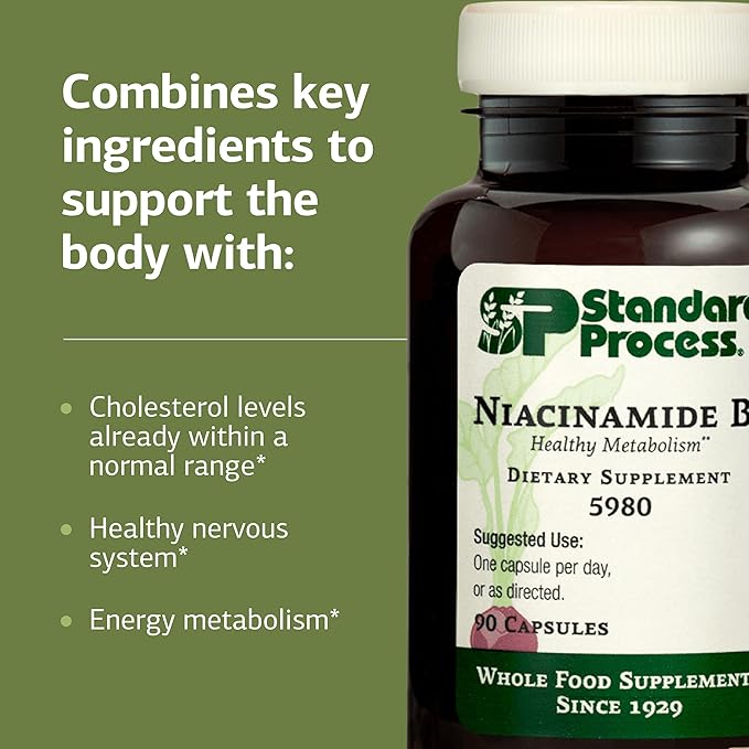 Standard Process Inc. Niacinamide B6 - Whole Food Energy, Metabolism and Nervous System Supplements with Soy Protein, Vitamin B6, Ascorbic Acid, Calcium Lactate, and Niacinamide - 90 Capsules