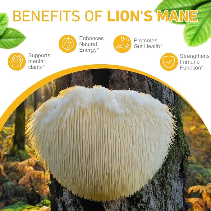 Lions Mane Mushroom Drops 120,000 MG, Brain Supplement, Brain Vitamins, Enhance Memory & Focus & Immunity, 2 Oz