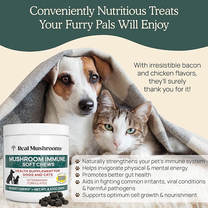 Real Mushrooms Soft Chews for Pets – Functional Treats with Reishi, Olive Leaf, Ashwagandha Blend – Cats & Dogs Vitamin Bites– Mushroom Supplement for Dogs & Cats Wellness Support, 60 Count