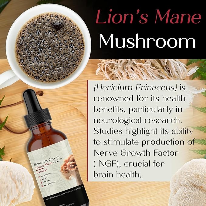 Auri Lion’s Mane Liquid Elixir - Brain Supplements for Memory and Focus with Functional Mushrooms - Lions Mane Supplement - Full Spectrum Lion's Mane Extract - No GMO, Vegan Mushroom Tincture