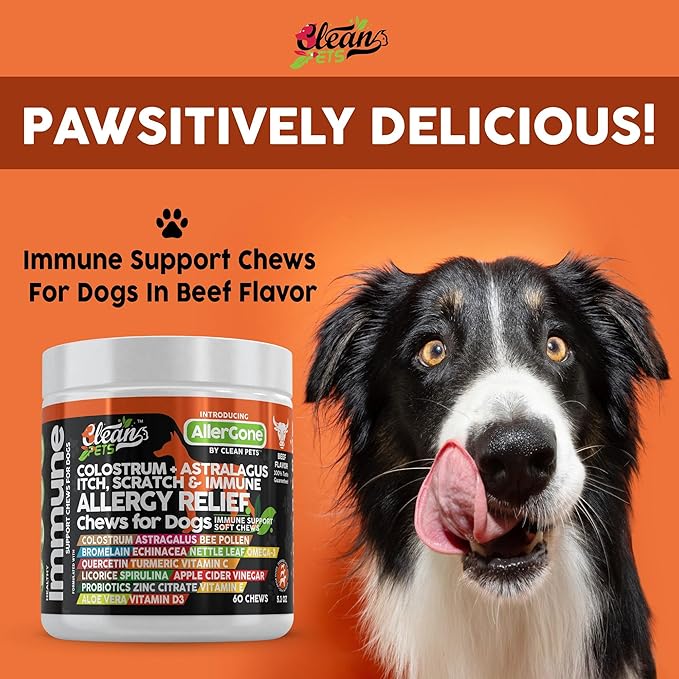 Dog Allergy Relief Chews | Itchy Skin Relief for Dogs | Colostrum Astralagus Omega 3 Bee Pollen Bromelain Echinacea Nettle Leaf Quercetin Licorice Root Spirulina ACV Immune - Pack of 1