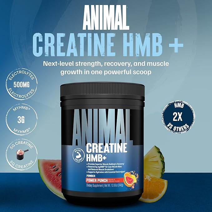 Animal Creatine HMB Powder – 5g Creatine + 3g myHMB with Electrolytes for Lean Muscle, Recovery & Daily Energy – Power Punch Flavor, 30 Servings