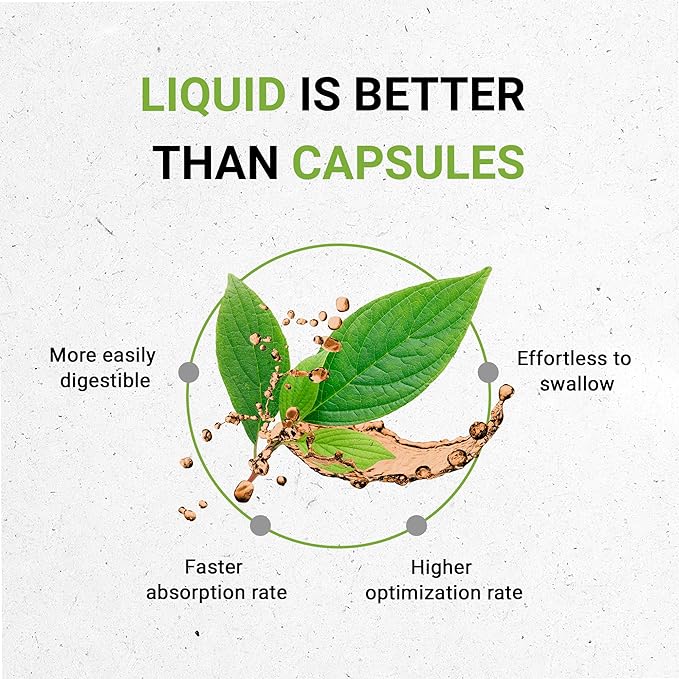 Secrets of the Tribe Olive Alcohol-Free Liquid Extract, Olive (Olea europaea) Dried Leaf (2 FL OZ)